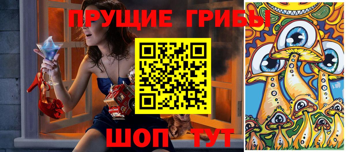 Галлюциногенные грибы Psilocybine cubensis Ковров